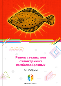 свежих или охлаждённых камбалообразных
