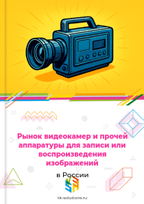 Рынок видеокамер и прочей аппаратуры для записи или воспроизведения изображений в России, 2018–2026 гг.